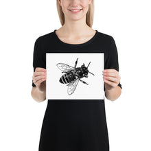 Load image into Gallery viewer, Honeybee (8x10)
